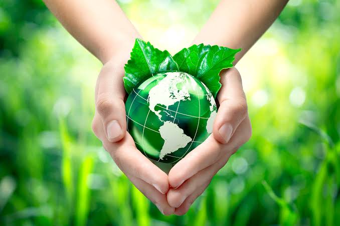 Innover pour une transition écologique locale